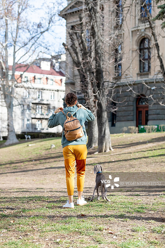 后视图的年轻女子和她的魏玛小狗在公园图片素材