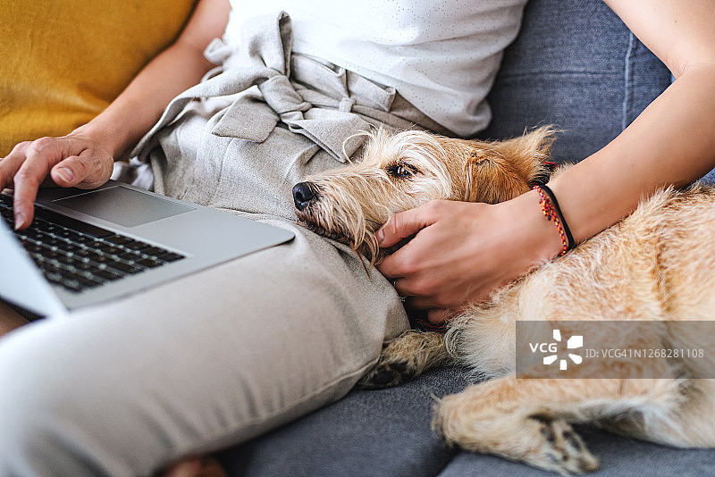 一个面目全非的女人带着宠物狗坐在家里工作，使用笔记本电脑。图片素材