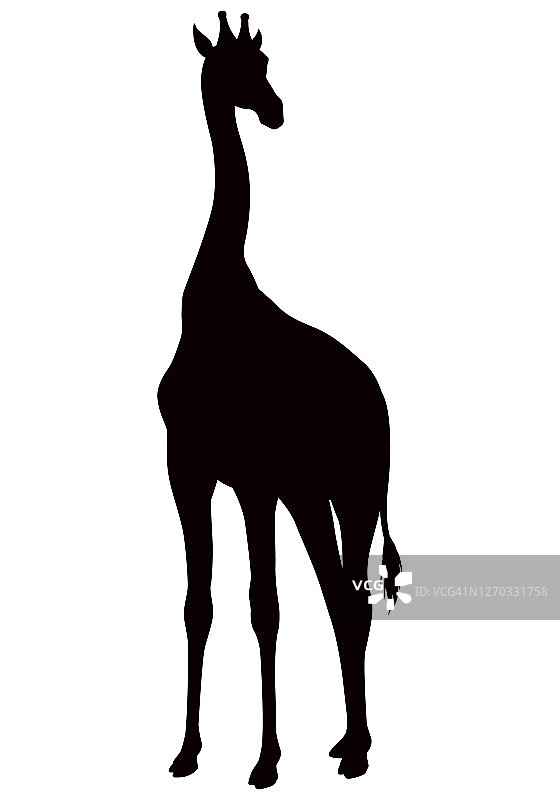 非洲长颈鹿动物剪影图片素材