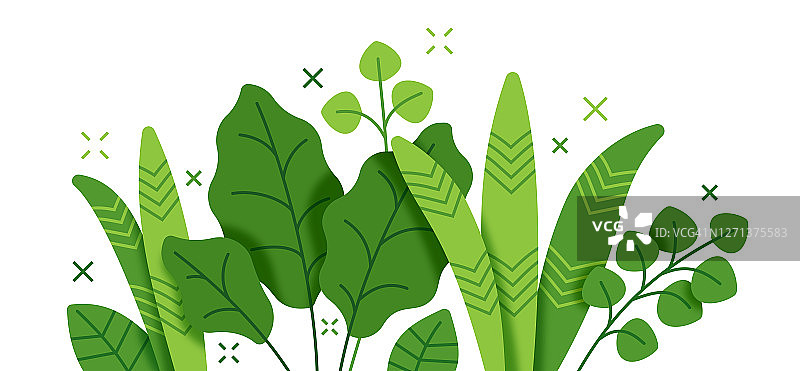 热带植物和树叶生长现代背景股票插图图片素材