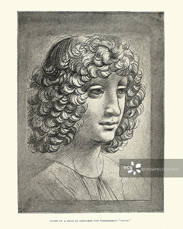 达芬奇的头部研究，文艺复兴时期的艺术作品图片素材
