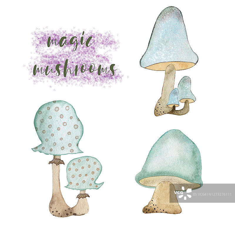 一套蓝色蘑菇的水彩插图。手绘水彩，适用于各种类型的设计和印刷。图片素材