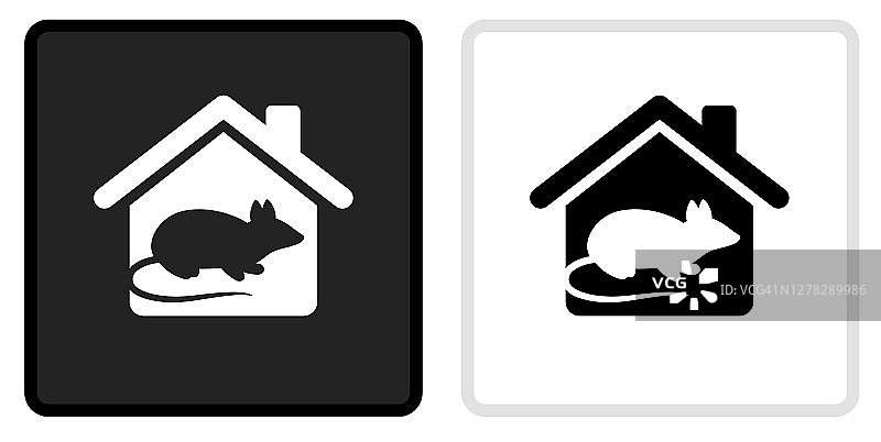 啮齿动物在家里图标上的黑色按钮与白色滚动图片素材