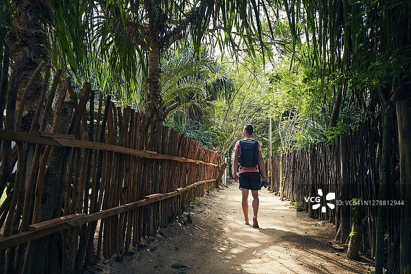 一个人走在棕榈树中间的小路上图片素材