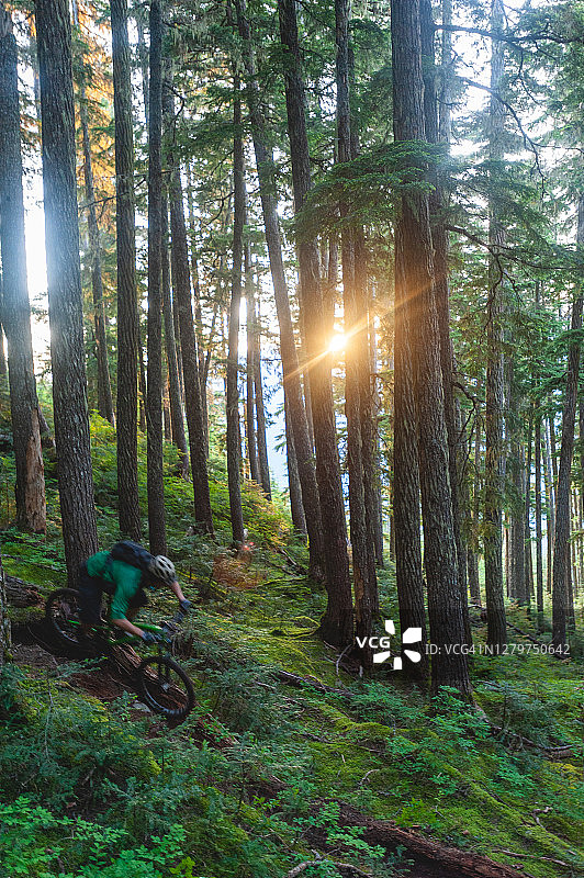 一个山地自行车手在日出时穿过森林的高架视角图片素材