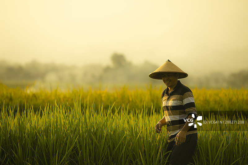在以山为背景的稻田里的亚洲农民图片素材