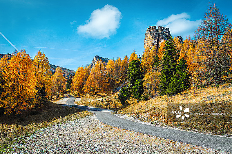 令人叹为观止的色彩斑斓的意大利秋落叶松森林图片素材