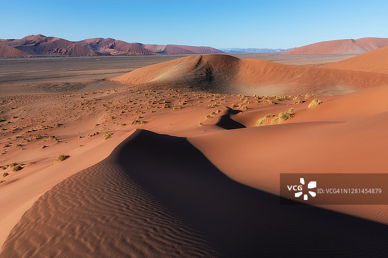 纳米比亚纳米布-瑙克鲁夫特国家公园的纳米布沙漠沙丘图片素材
