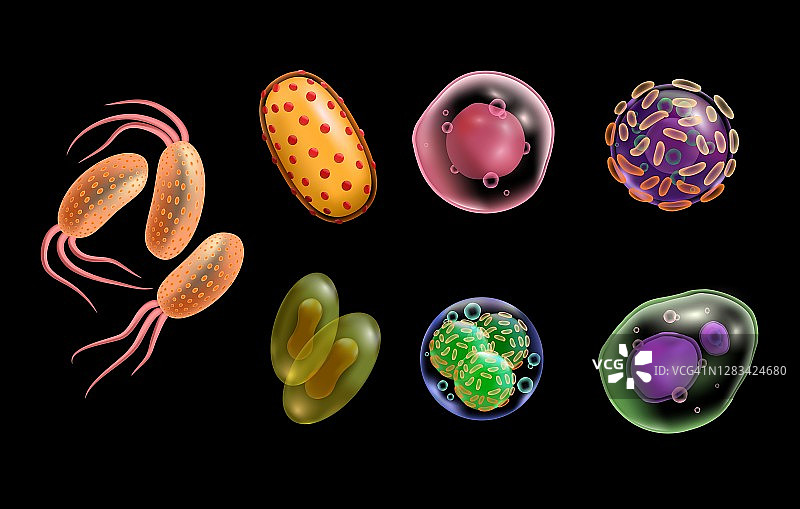 病毒和细菌是真实的微观细胞图片素材