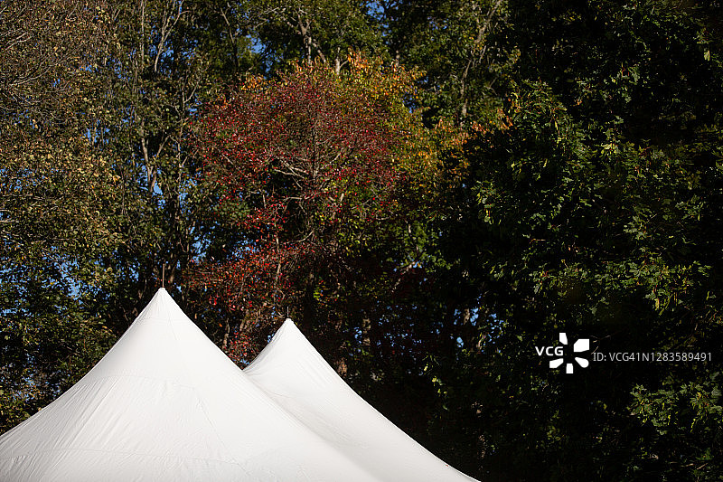 森林中大型活动帐篷的顶部图片素材