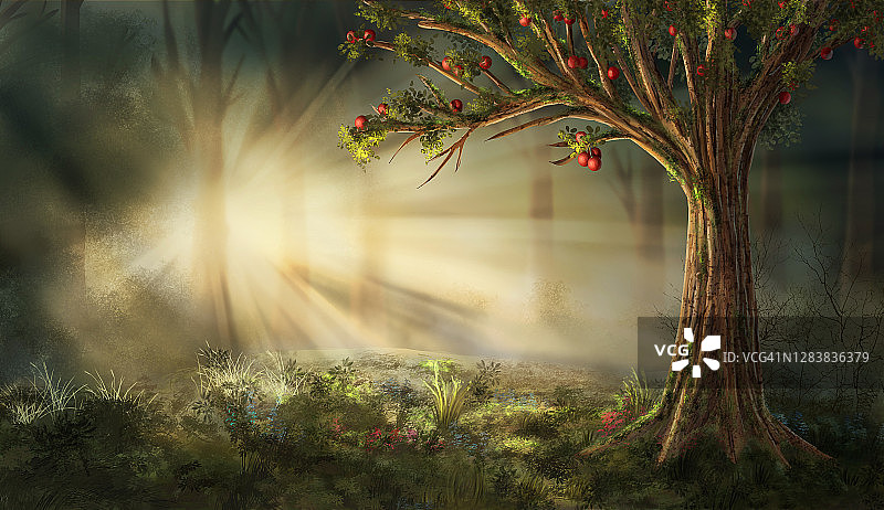 森林里有雾的早晨。阳光透过树枝照进了树宽红的果实。数码艺术风格，插画背景。迷雾和幻想的概念。图片素材