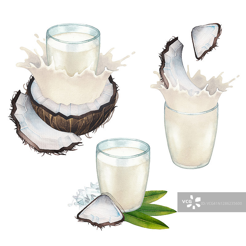 水彩画收集的植物奶在玻璃装饰椰子。图片素材