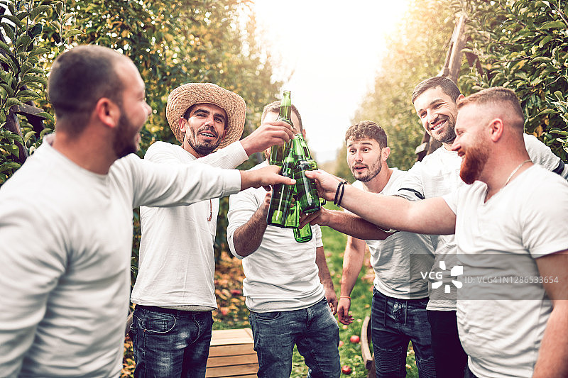 工人们庆祝苹果收获季节的啤酒祝酒图片素材