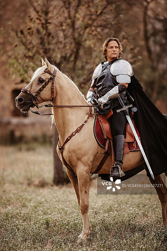 中世纪幻想中的骑士，披着斗篷，骑着他的帕洛米诺马遥望远方图片素材