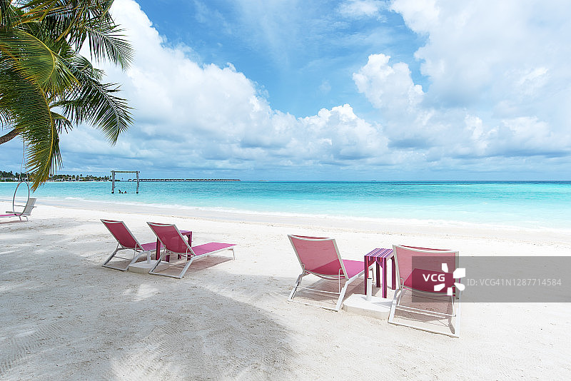 在热带天堂般的海滩上，棕榈树下的粉色躺椅图片素材