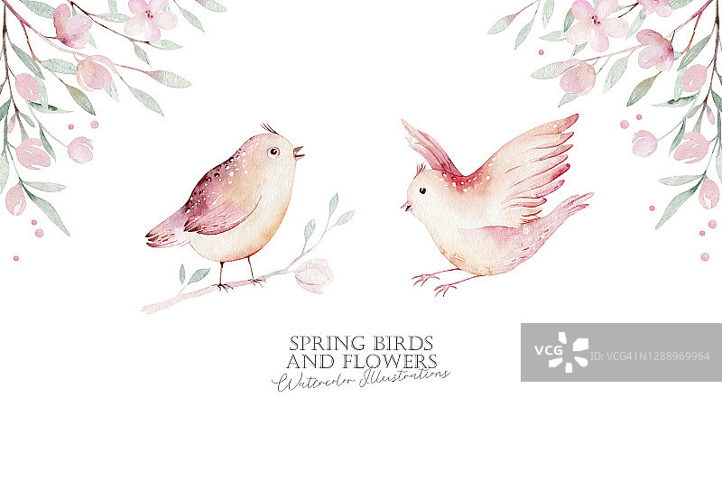 春天的鸟在开满绿叶和花朵的树枝上。水彩婚礼请柬花画。手绘粉色花环设计。樱桃隔离枝装饰。图片素材