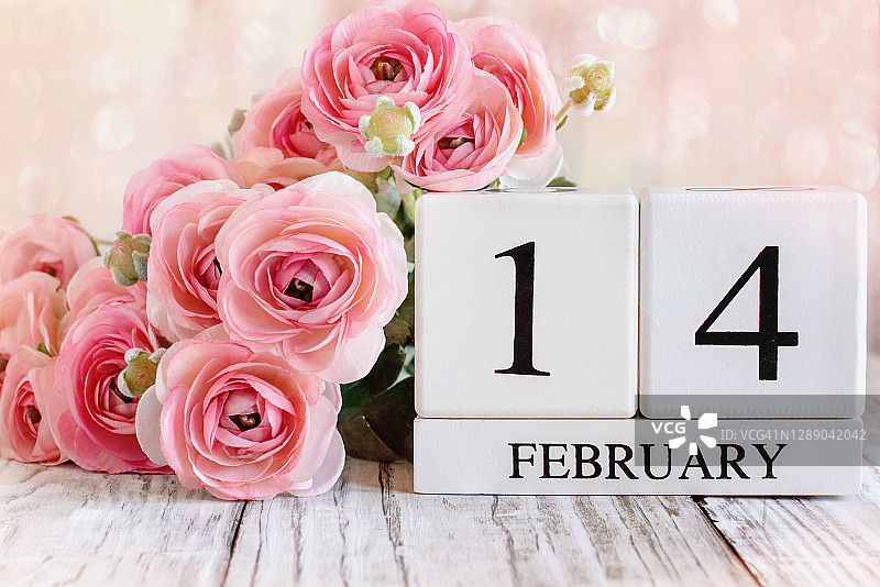 白色木质日历块和粉红色毛茛与日期2月14日为情人节图片素材