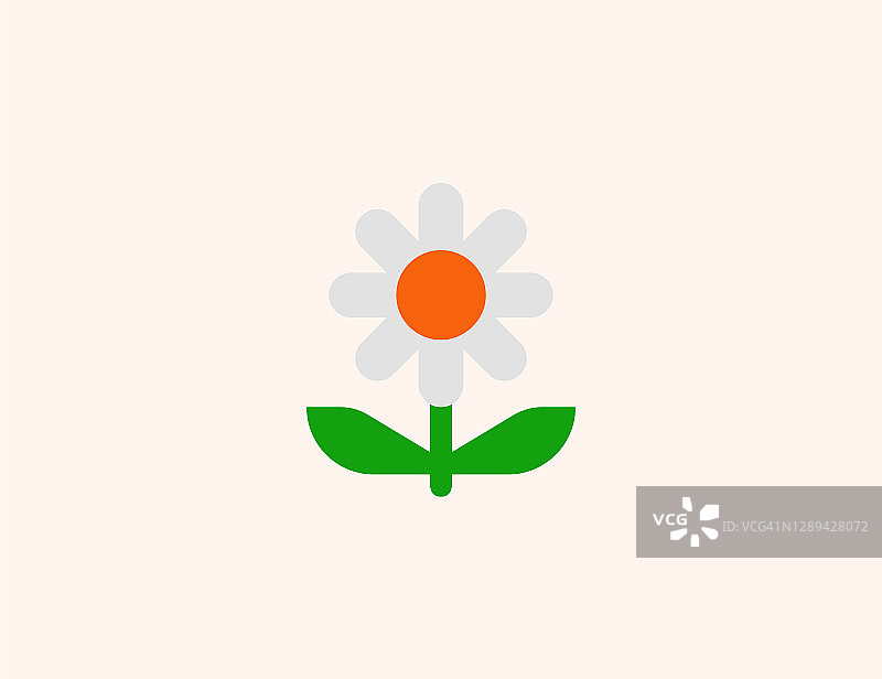 雏菊花矢量图标。孤立Сhamomile，朵朵花平彩色符号-向量图片素材