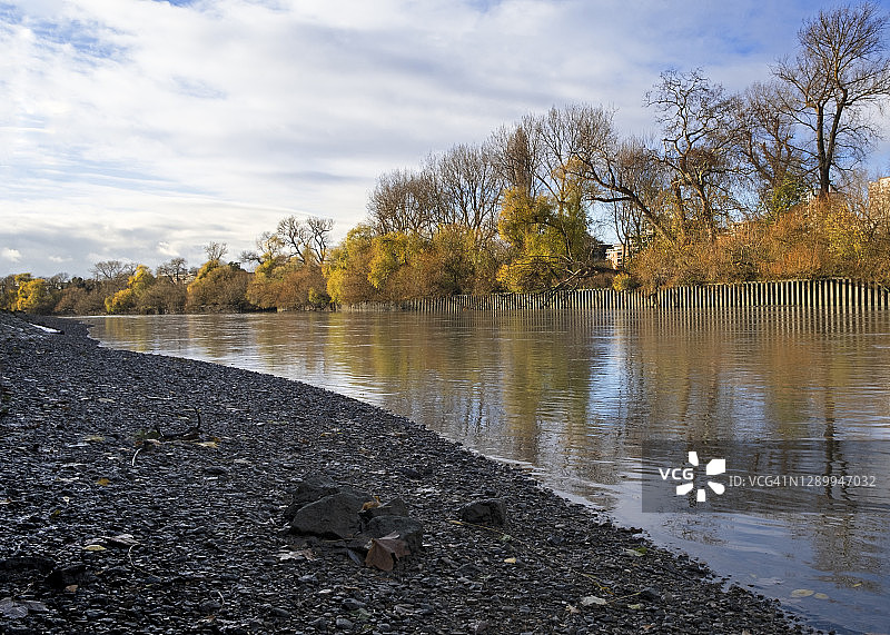 邱园/豪恩斯洛附近的泰晤士河，秋天的树木图片素材