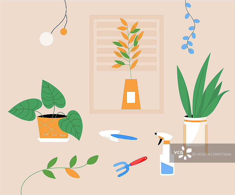 带有盆栽室内植物和种植工具的公寓图片素材