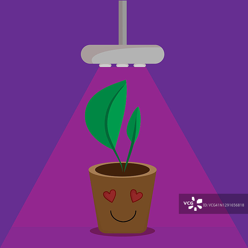 led全光谱生长光紫外植物盆栽灯泡。矢量插图的特殊led灯种植花卉在家里。可爱的植物性格是快乐的照明。图片素材