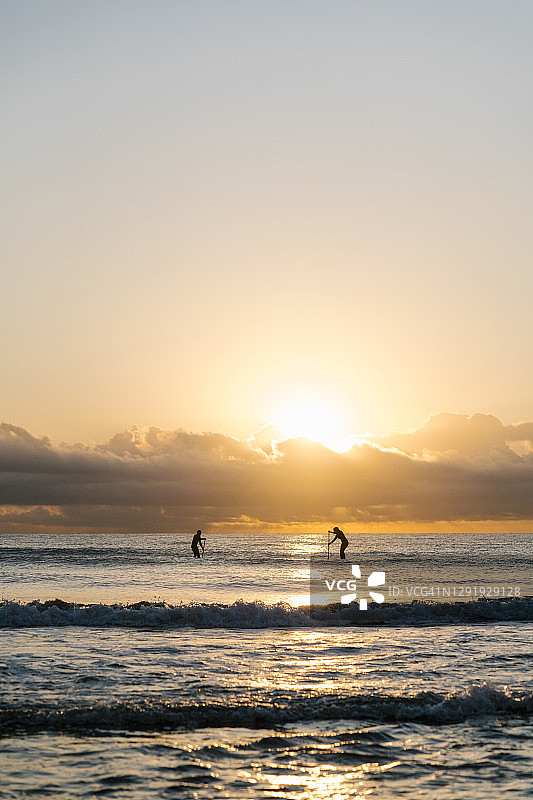 远处，黎明时分，朋友们在海面上划桨冲浪的剪影图片素材