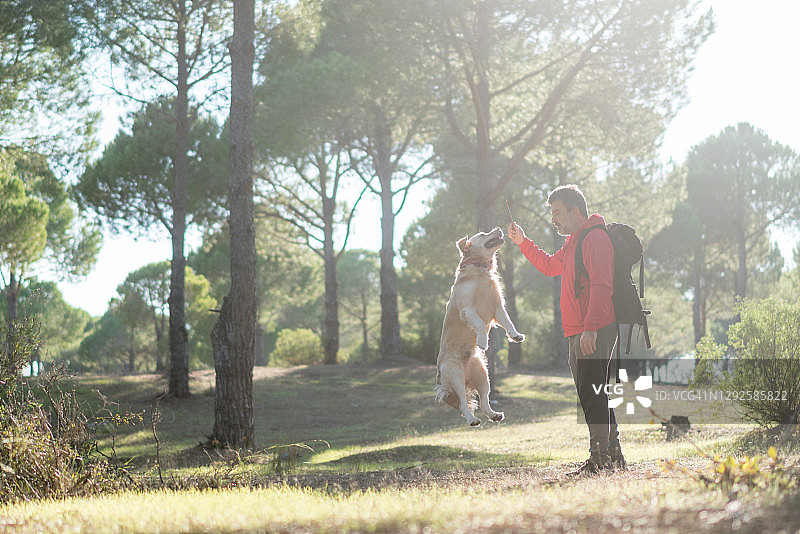 一个成熟的徒步旅行者和他的狗在森林里玩耍。图片素材