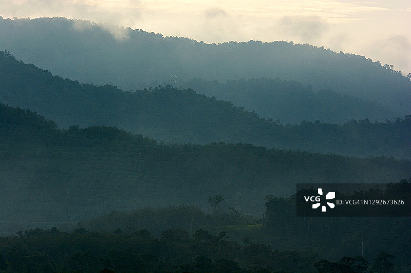 清晨多雾的热带山脉景色图片素材