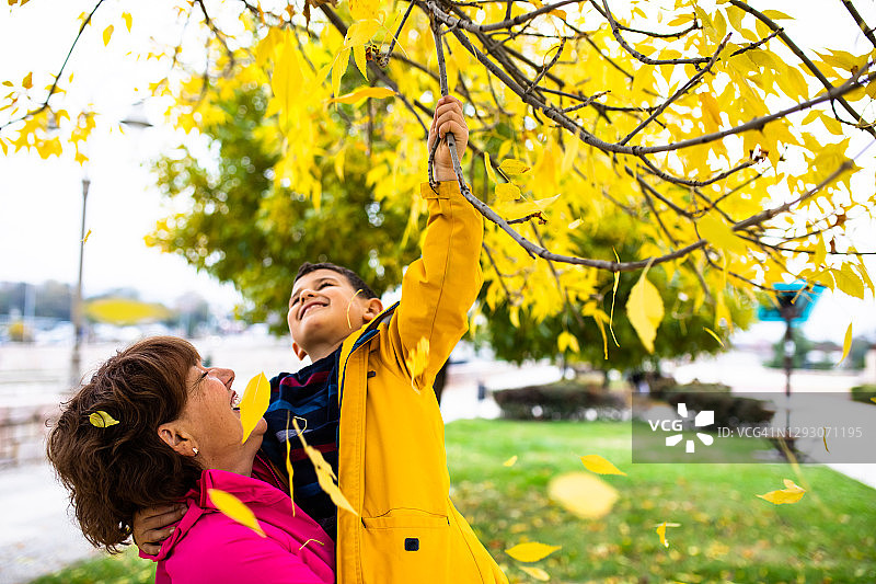 一个可爱的男孩摇晃着树枝上的秋叶图片素材