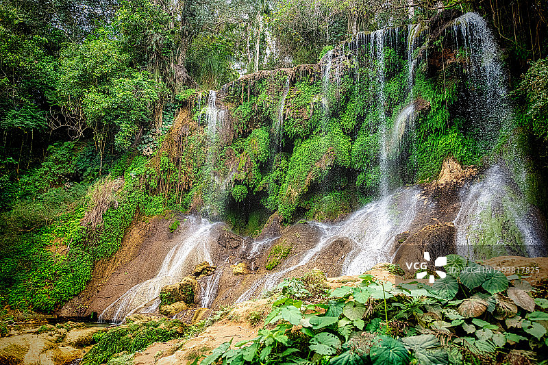 古巴西恩富戈斯生态位自然公园图片素材