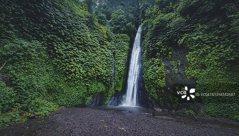 美丽的热带植物瀑布在巴厘岛，印度尼西亚图片素材