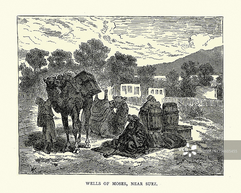 骑骆驼的队伍在摩西井，靠近苏伊士，埃及图片素材