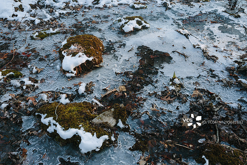 冻结的溪流中覆盖着苔藓的岩石周围的冰图片素材