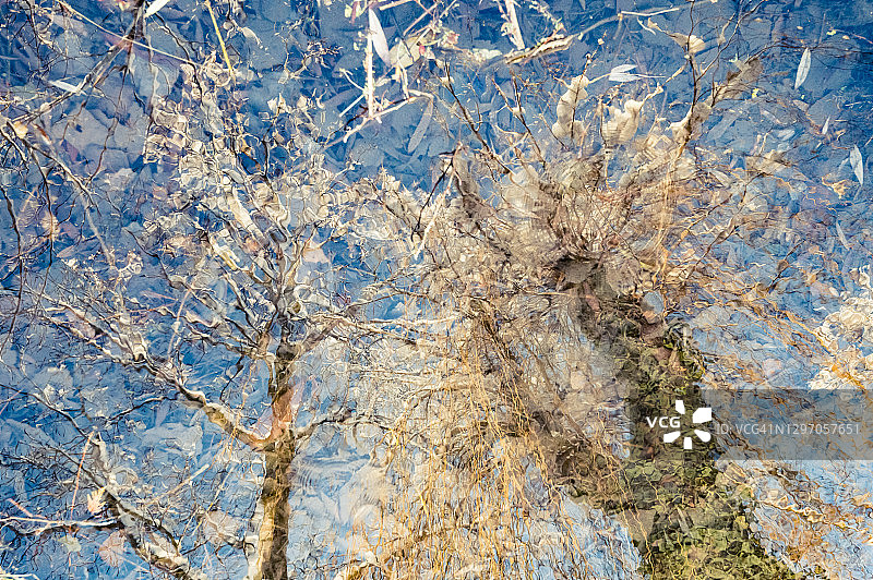 冬天的诗-树的倒影覆盖在雪图片素材