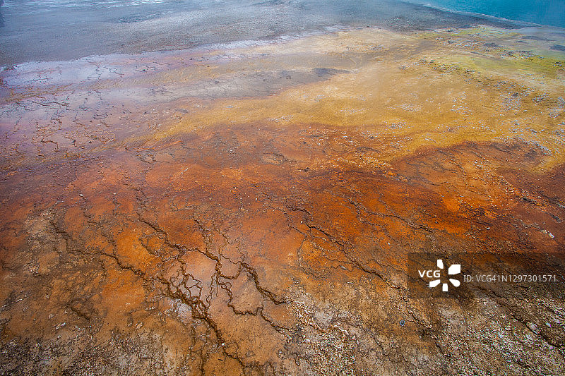 黄石湖边缘的地热间歇泉水中明亮的橙色和红色藻类的特写。图片素材