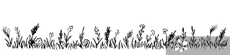手绘简单的矢量画在黑色轮廓。野生草甸草，野花，小穗，花序。草坪、花草、长条旗。图片素材