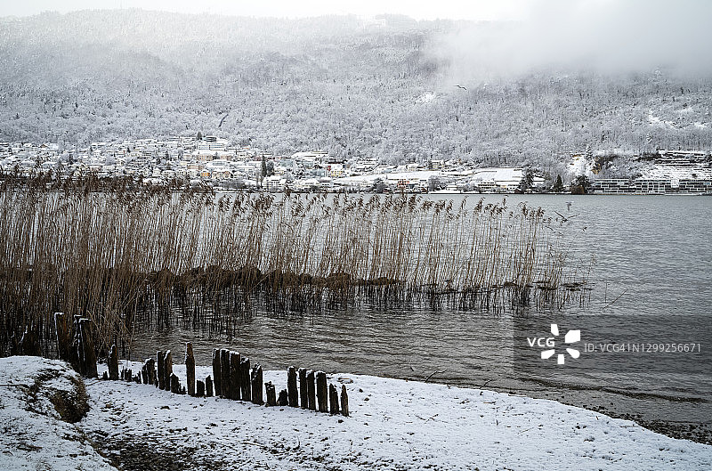 冬天，瑞士尼多的湖景图片素材