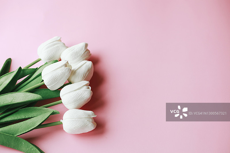 春节贺卡，白色郁金香花在粉红色的背景与复制空间。生日，情人节，母亲节的模板。花的图片。图片素材