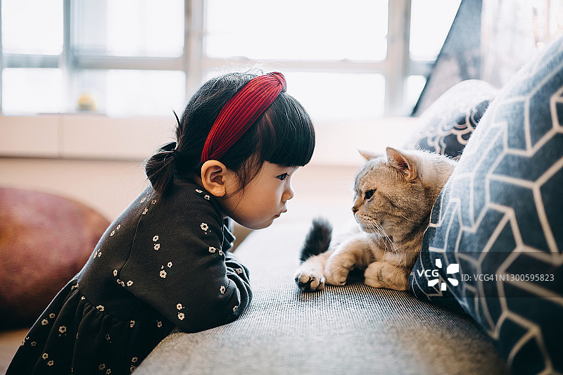 可爱的亚洲小女孩在家里的沙发上和猫玩耍，享受有宠物的陪伴和学习照顾动物的责任图片素材