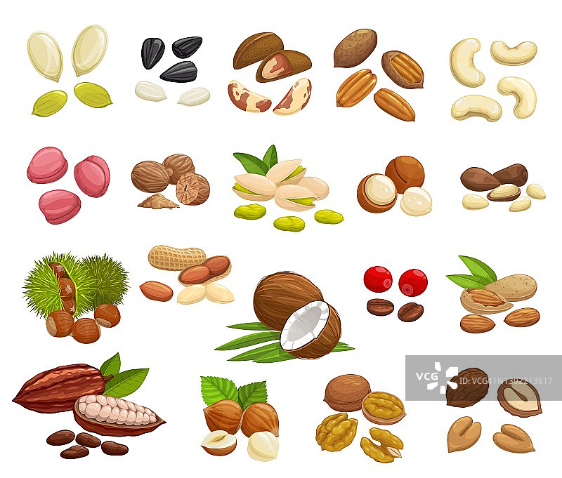坚果、豆类和种子类的超级食物图片素材
