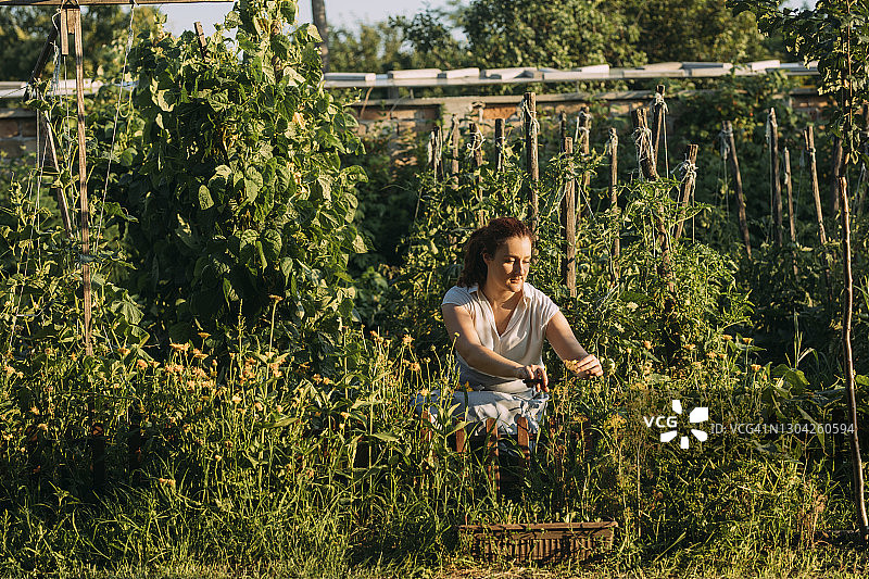 可持续的生活方式:快乐的女人在她的花园工作图片素材