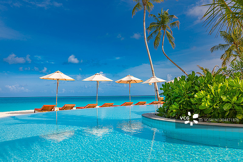 8月的05.。2019年，马尔代夫，达卢环礁，伊鲁维利岛:奢华的海滩度假胜地，配有游泳池和沙滩椅或躺椅，在棕榈树和蓝天的伞下。夏季海岛旅游度假景区图片素材