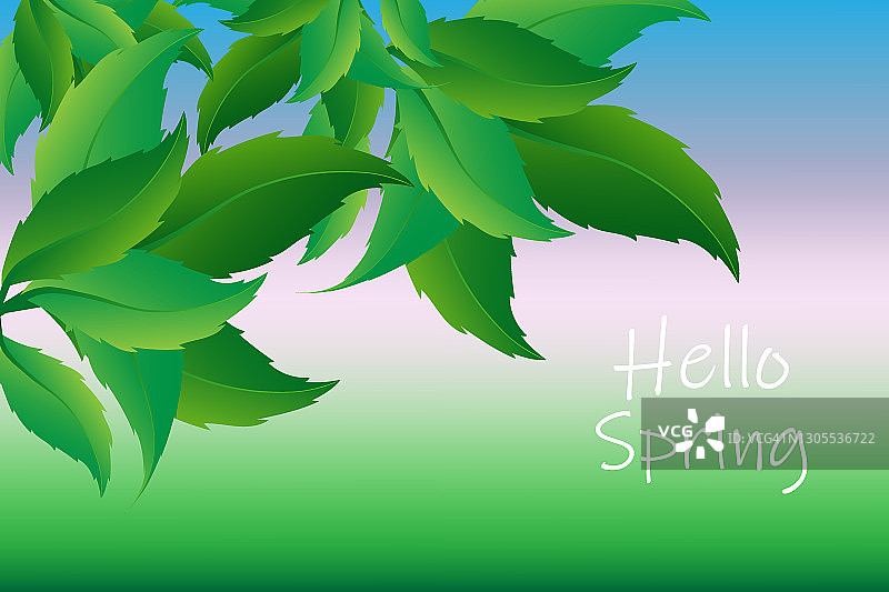 抽象背景与绿色装饰树叶，你好春天的文字图片素材