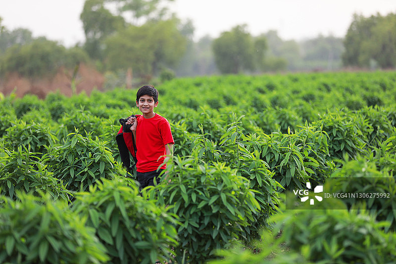可爱的印度孩子带着书包在农田里奔跑图片素材
