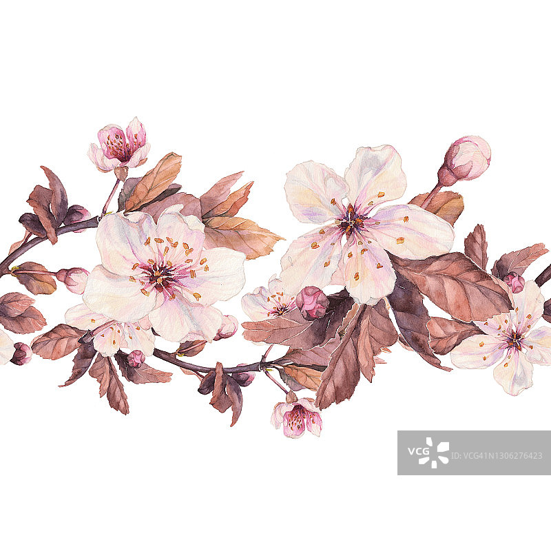 无缝边框水彩樱花图片素材