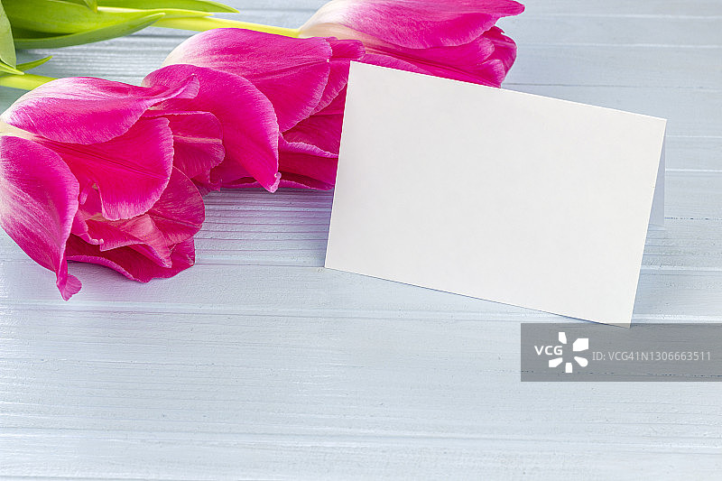 新鲜的春天郁金香花作为节日贺卡设计在蓝色木制背景与名片图片素材