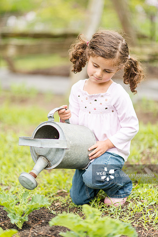 4岁的小女孩在花园里给植物浇水图片素材