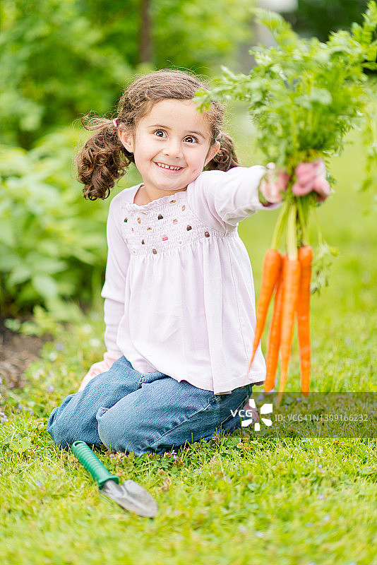 可爱的女孩在花园里拿着一把刚挖好的胡萝卜图片素材
