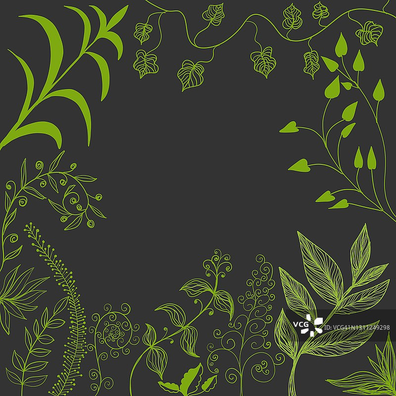 植物框架与绿色的叶子和植物图片素材