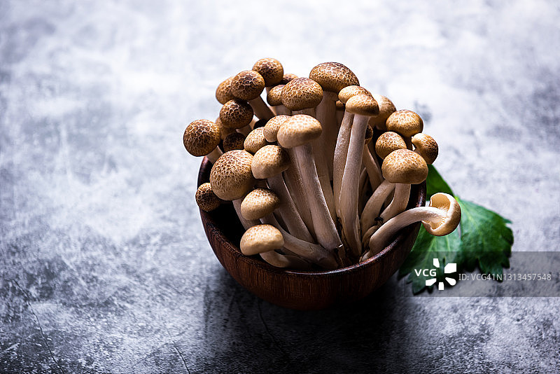 新鲜的棕色shimeji蘑菇，棕色山毛榉蘑菇图片素材